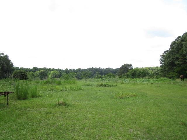 Property Photo:  0-(24 Ac) Wilson Point Road  LA 71360 