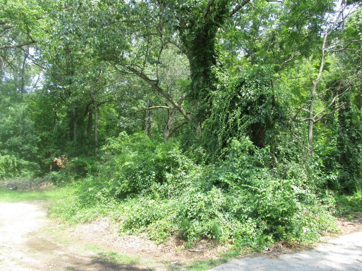 Property Photo: 0 Fern Street IN 46360