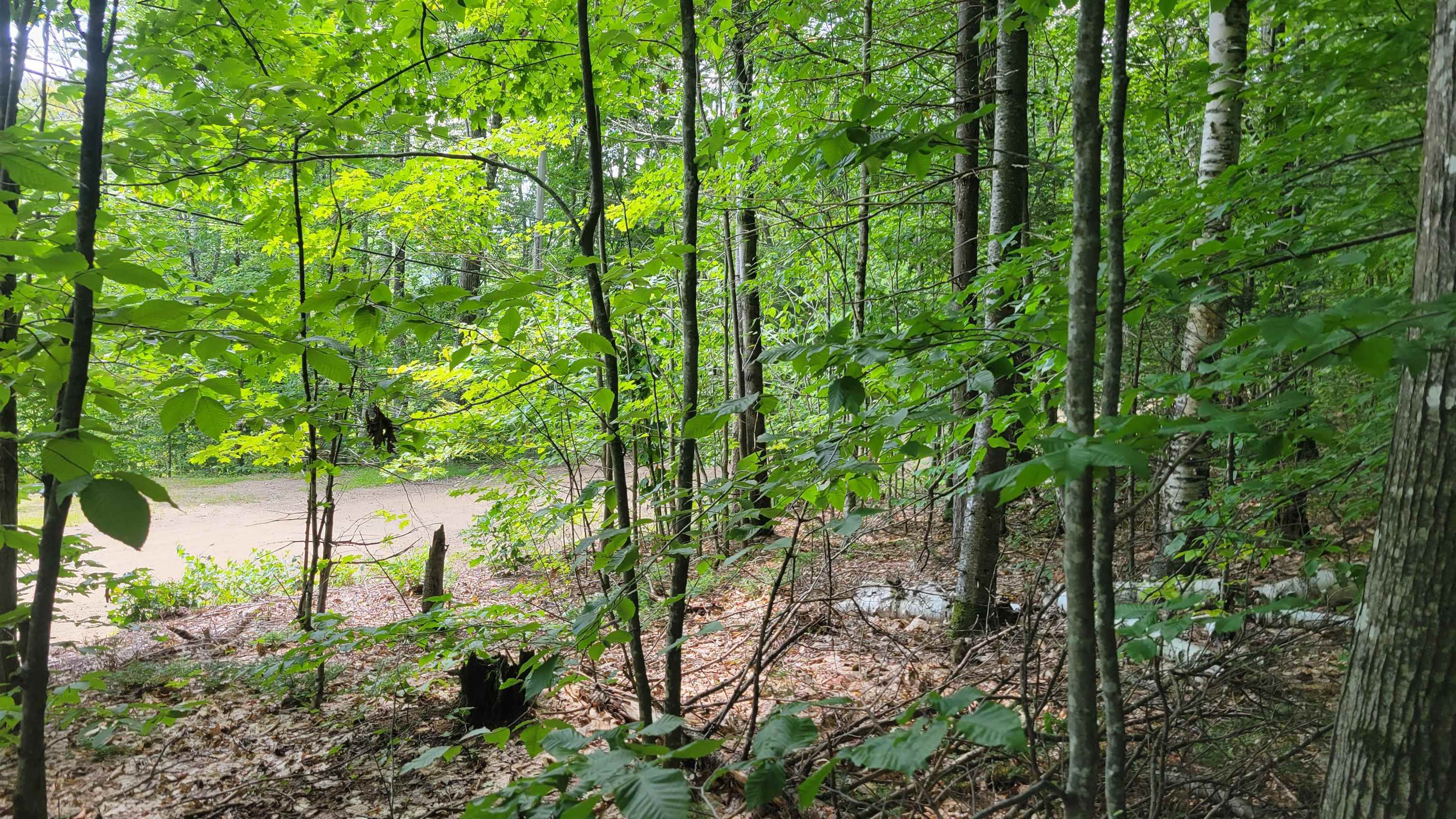 Property Photo: 11-1-7 David Thompson Drive NH 03223