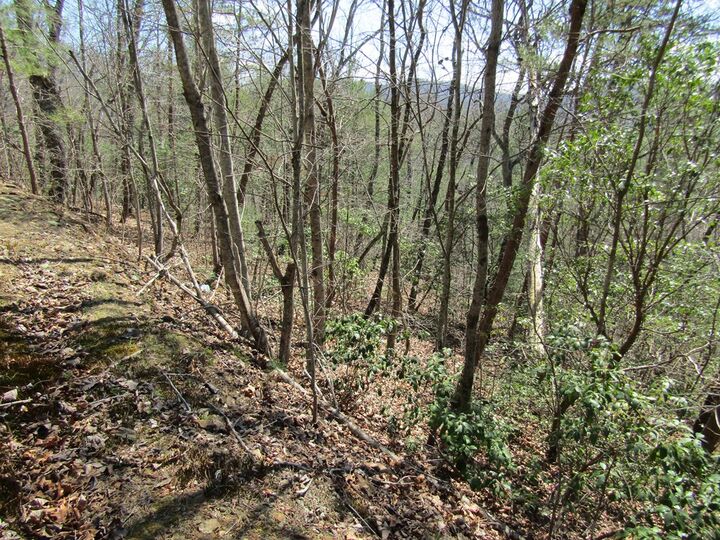 Property Photo:  Lot 27 Mission Ridge  NC 28904 