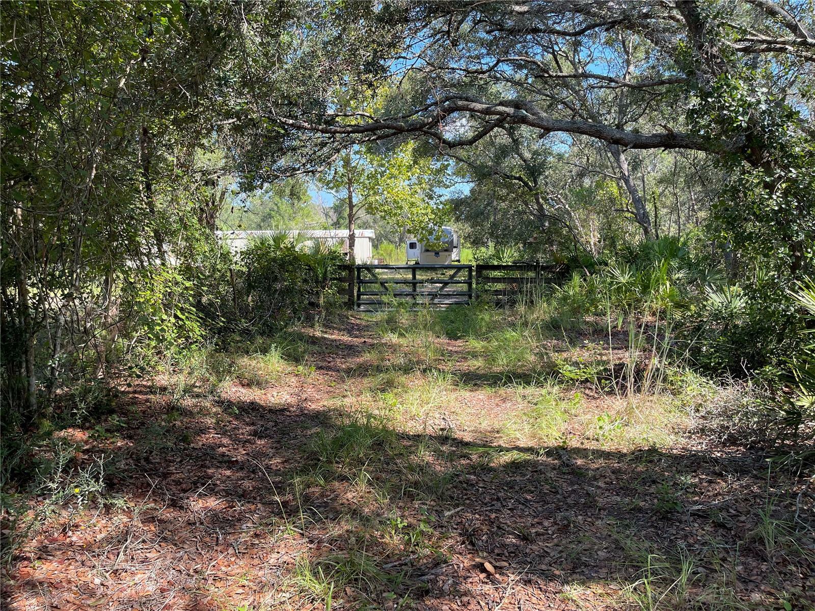 Property Photo:  32615 Red Oak Drive  FL 32736 