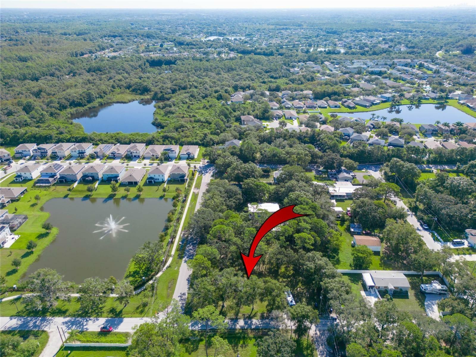 Property Photo: 8701 Hart Lane FL 33635