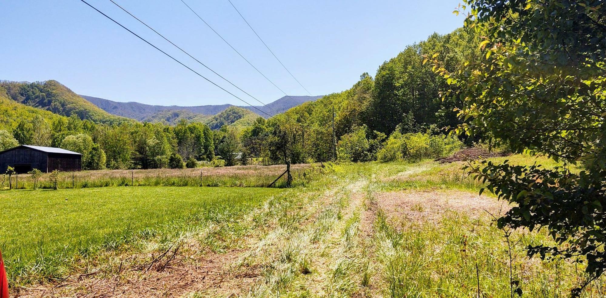 Property Photo:  462 Horse Creek Road  TN 37641 