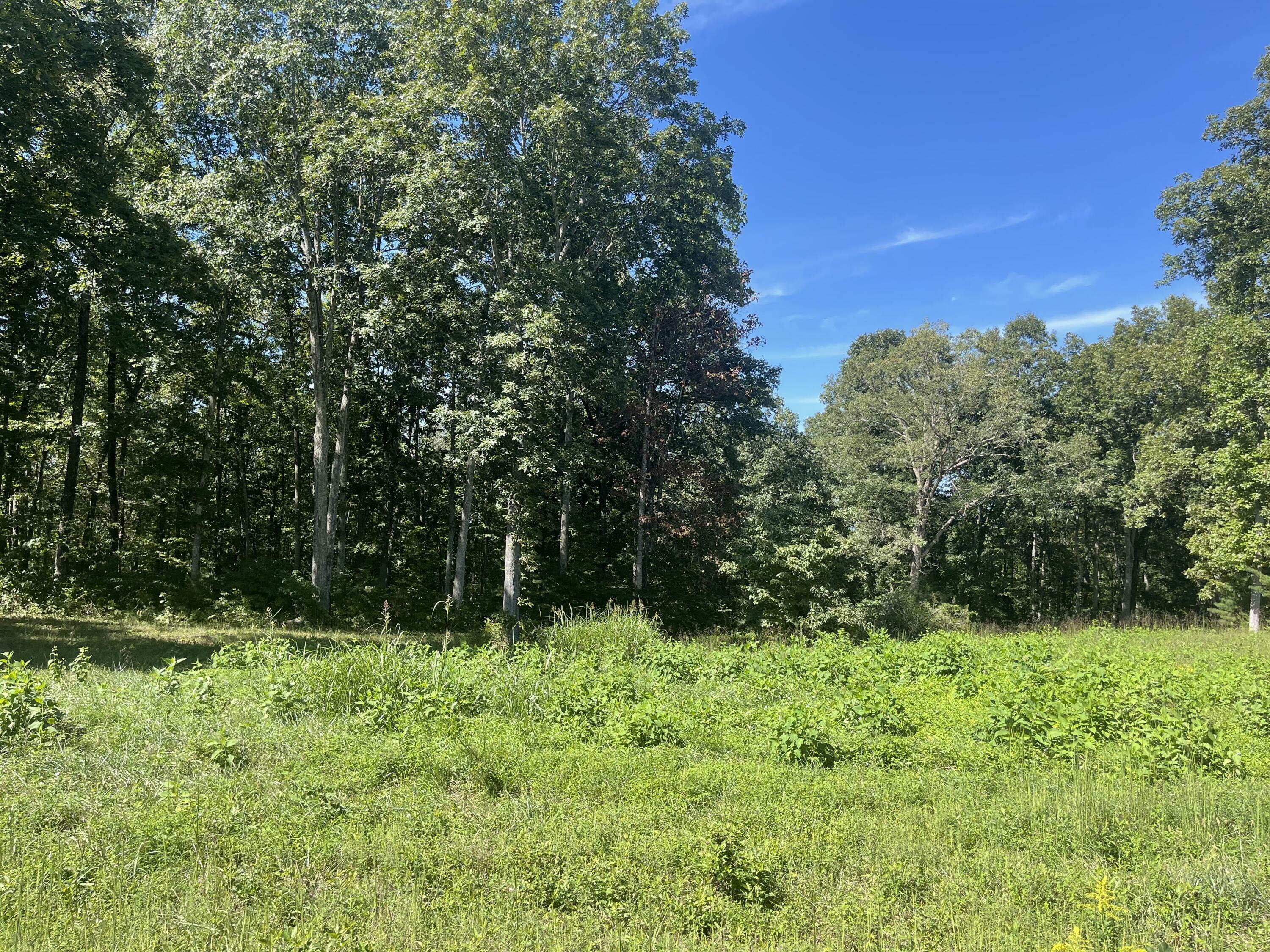 Property Photo:  Lot 77 Cumberland Shores  KY 42633 