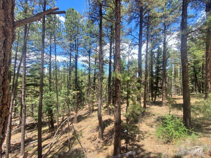 Property Photo:  Lot 90 Back Basin  NM 87710 