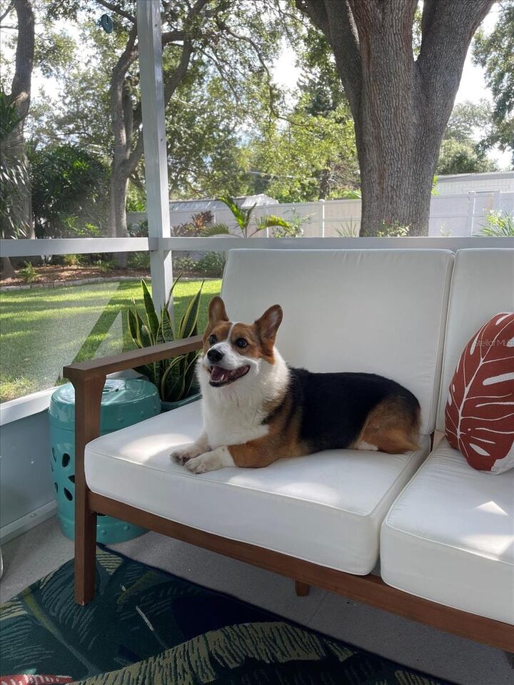 Property Photo: 2466 Whitman Street FL 33765