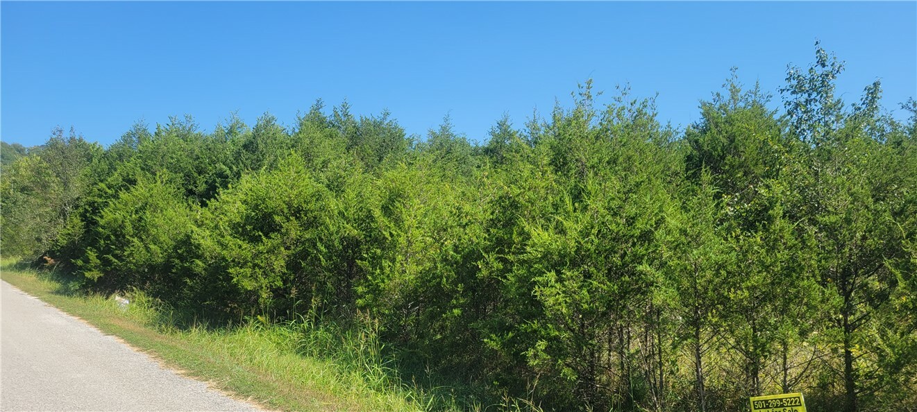 Property Photo: 2 Clover AR 72631