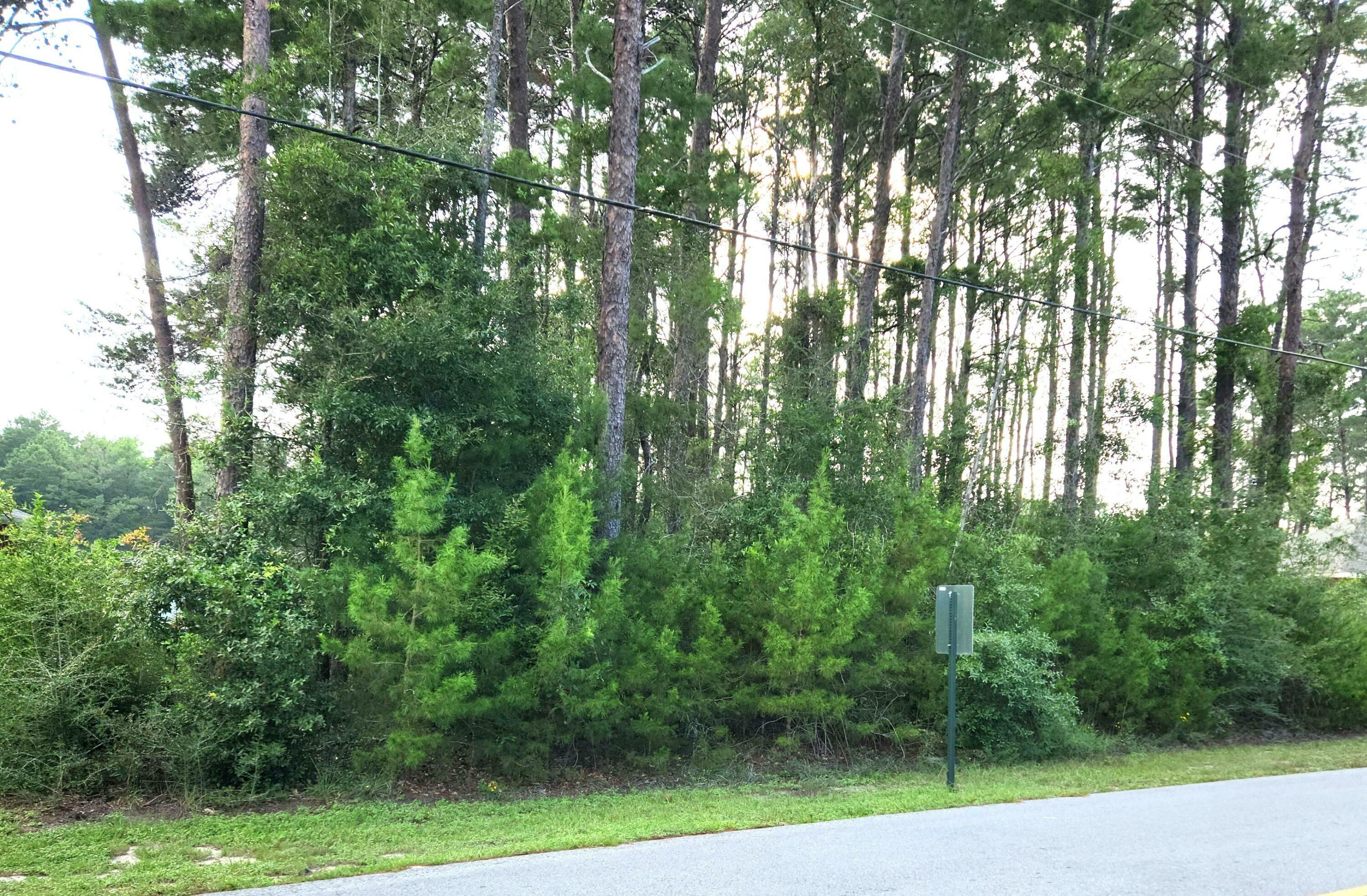 Property Photo: Lot 4 Happy Hollow Road FL 32439