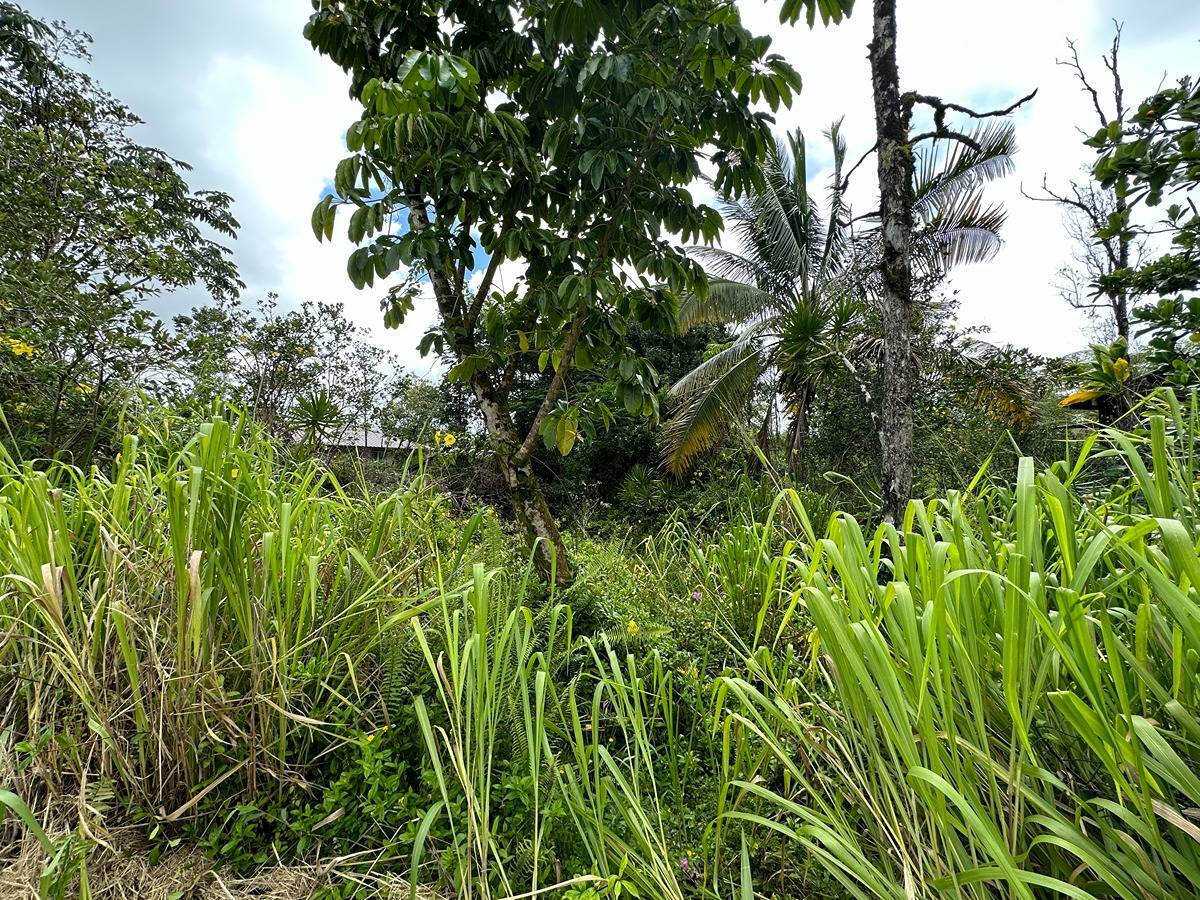 Property Photo:  Ohia Dr  HI 96778 