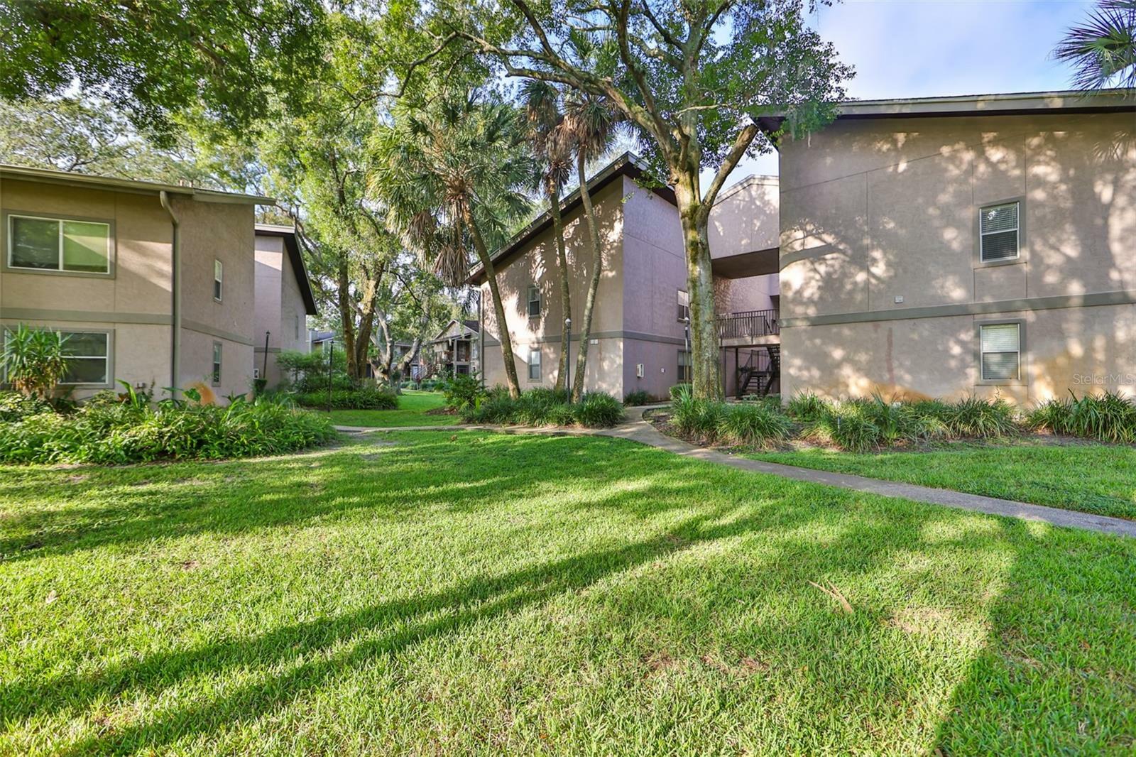 Property Photo:  4207 Winding Moss Trail 208  FL 33613 