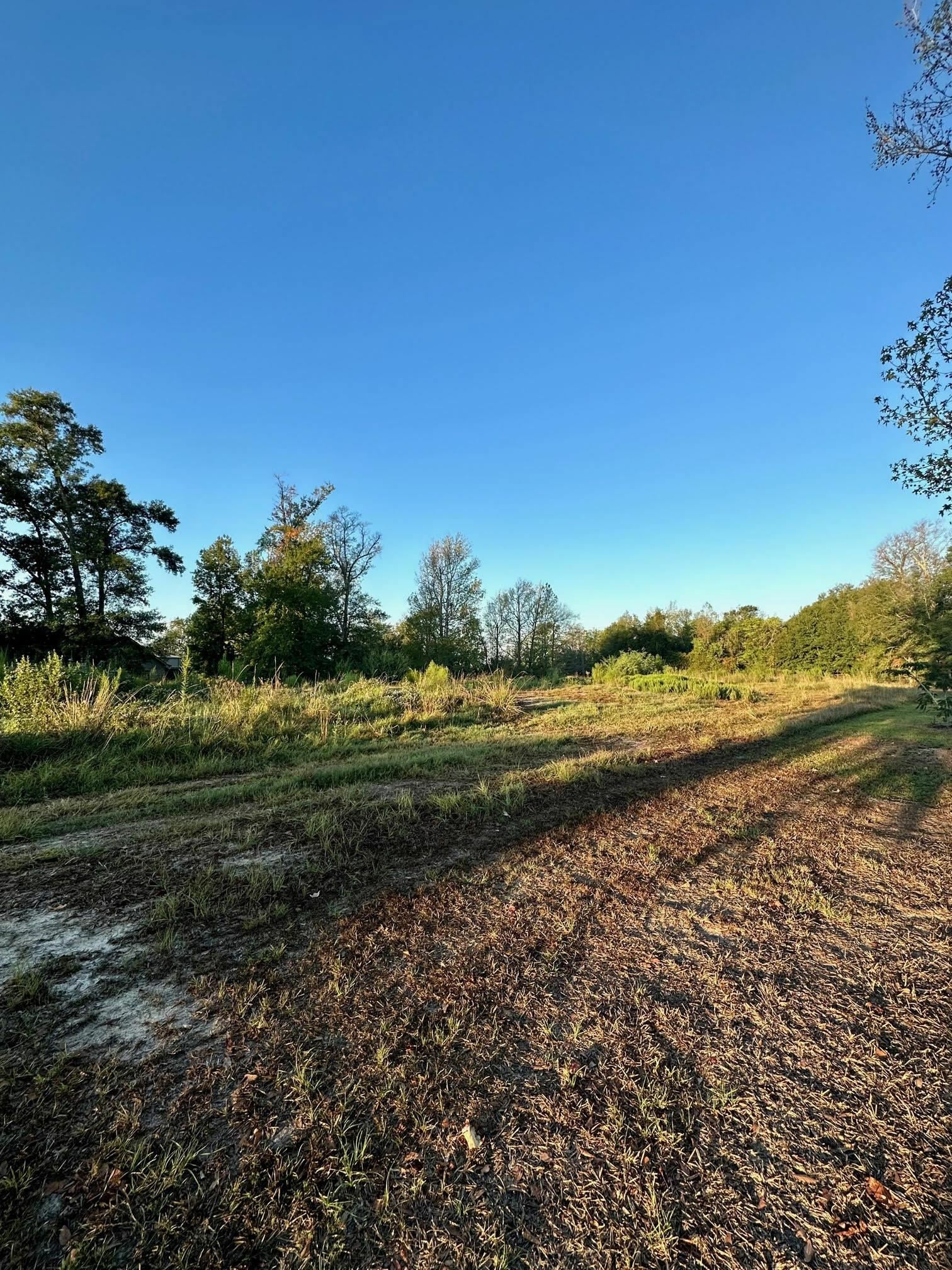 Property Photo:  3705 Woodway  TX 77630 