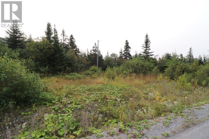 Property Photo:  14 Hollands Memorial Drive  NL A0K 3V0 