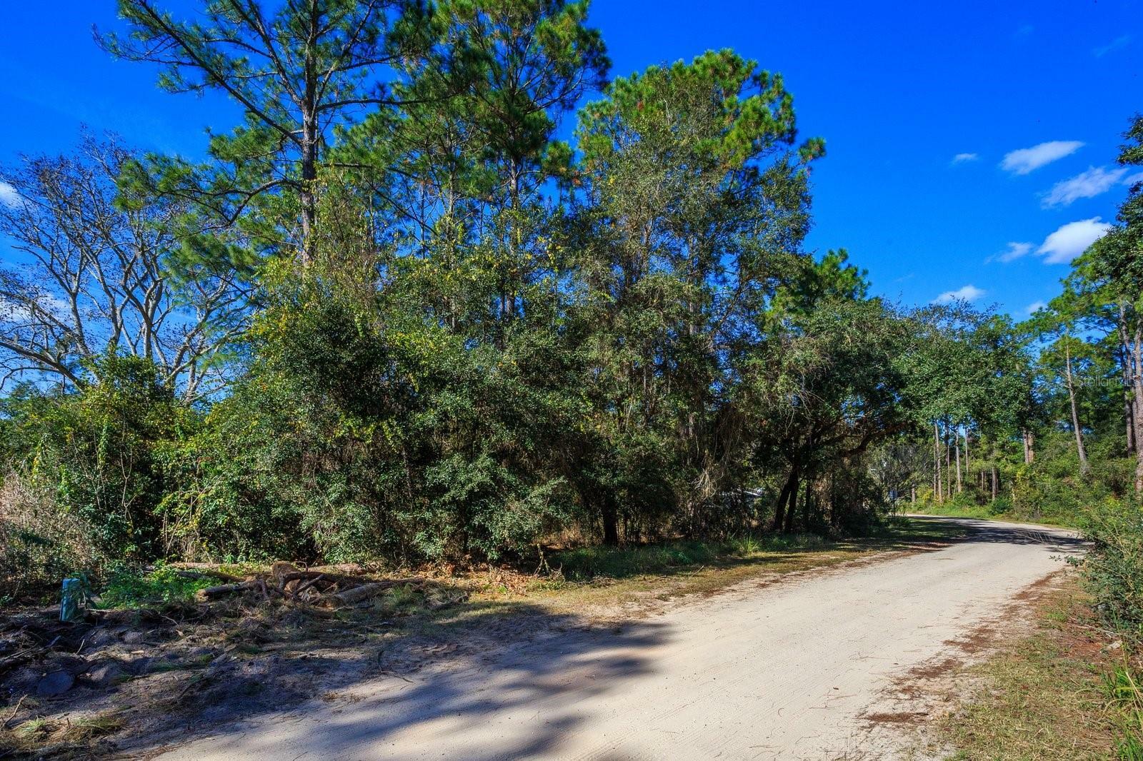 Property Photo:  Beverly Drive  FL 34736 