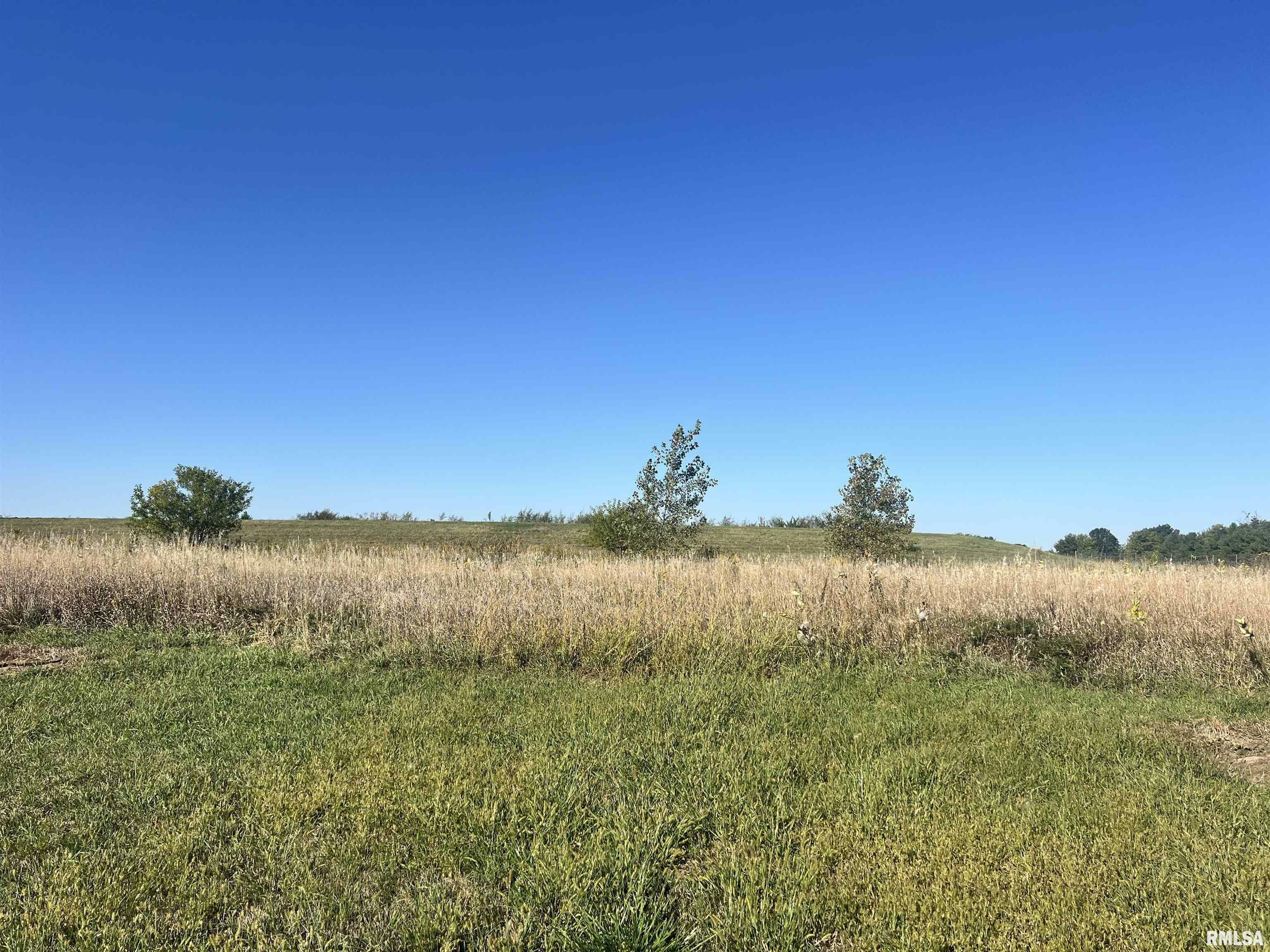 Lot 87 Kyle Court  Metamora IL 61548 photo