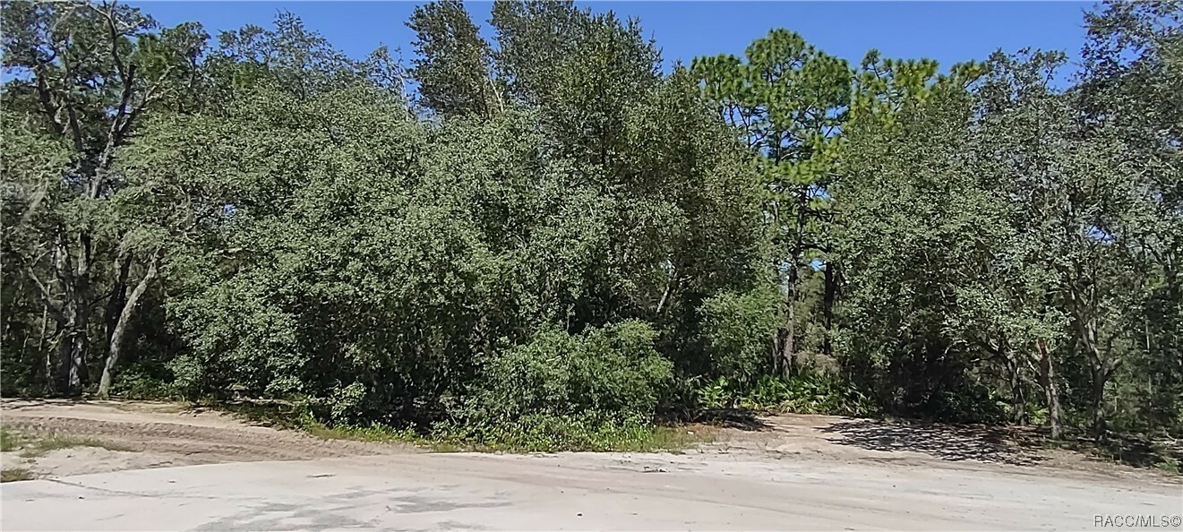 Property Photo:  00 SW 172nd Loop  FL 34473 