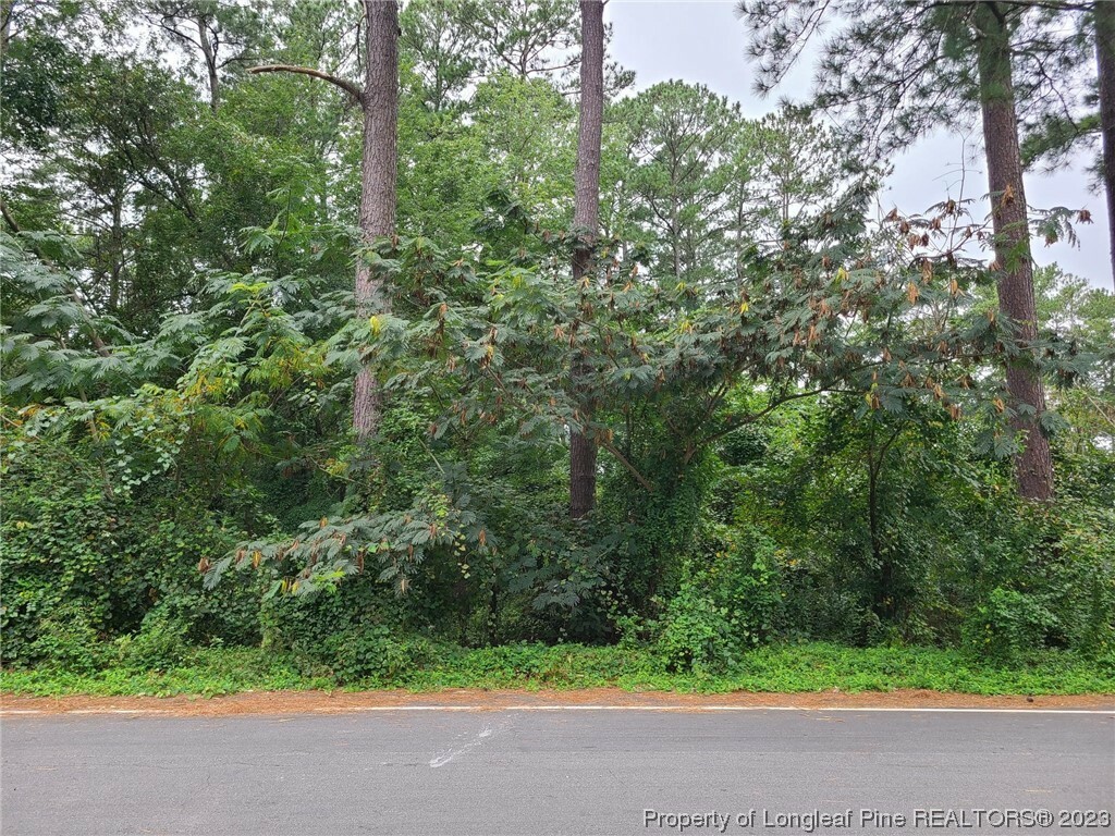 Property Photo:  829 Hilton Drive  NC 28311 