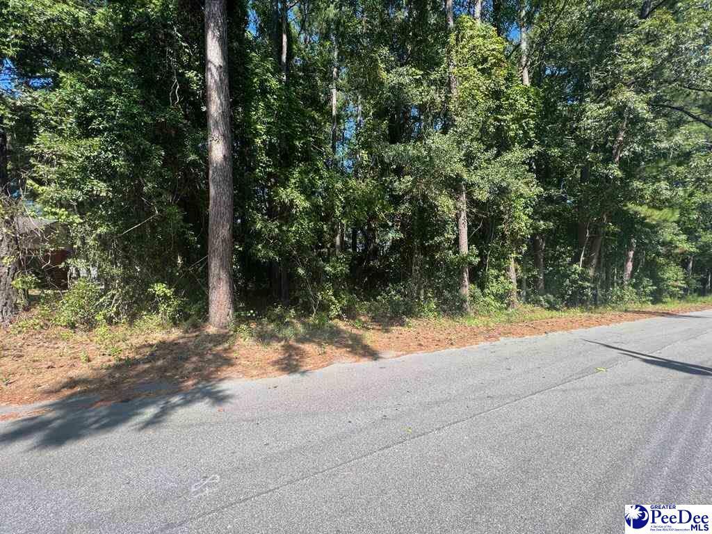 Property Photo:  3317 E Huntington Dr.  SC 29506 