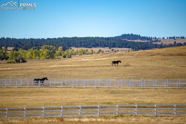 Property Photo:  26794 Maul Road  CO 80117 