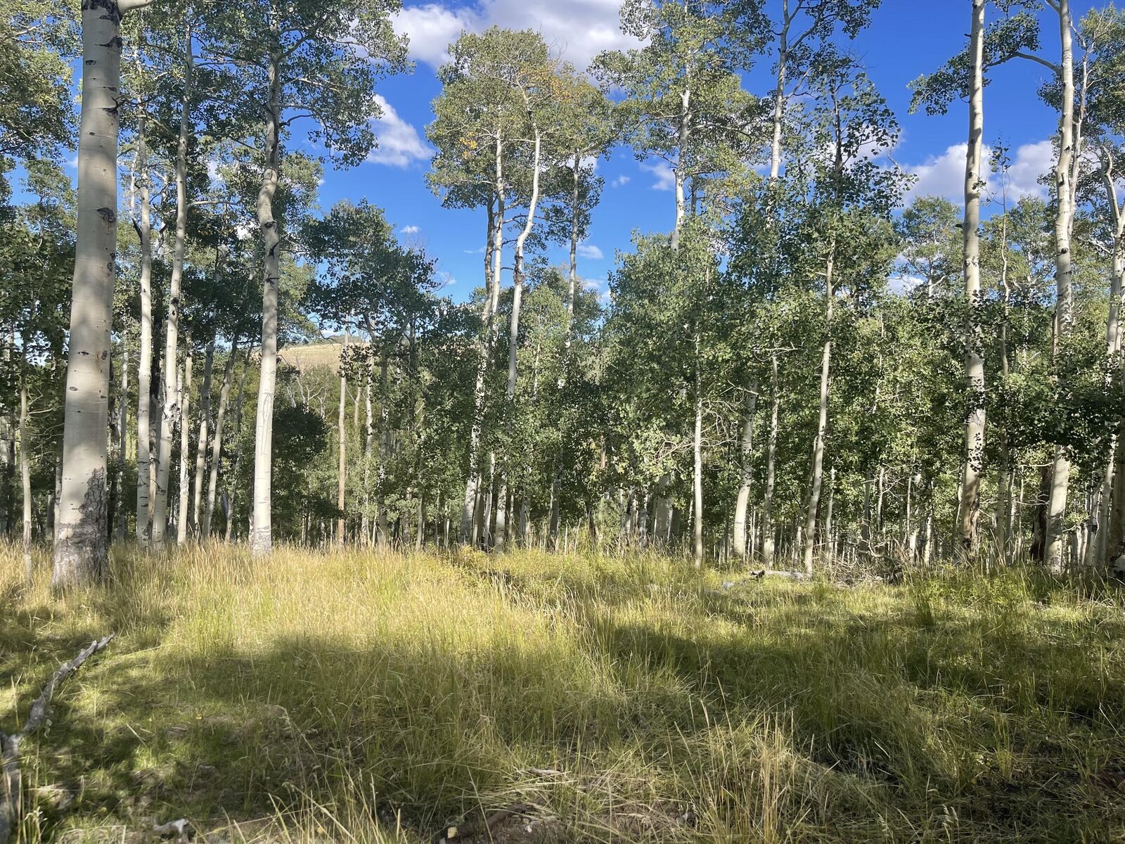 Property Photo: Lot 3 &Amp 4 Blk D Green Meadow Acres 3 &Amp 4 UT 84719