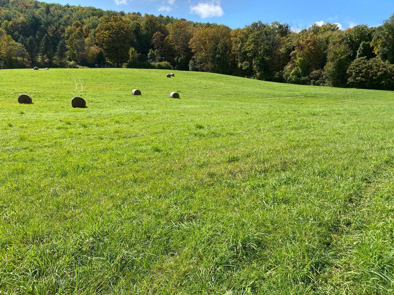 Property Photo: 0 Van Buskirk Gulf Road NY 14867