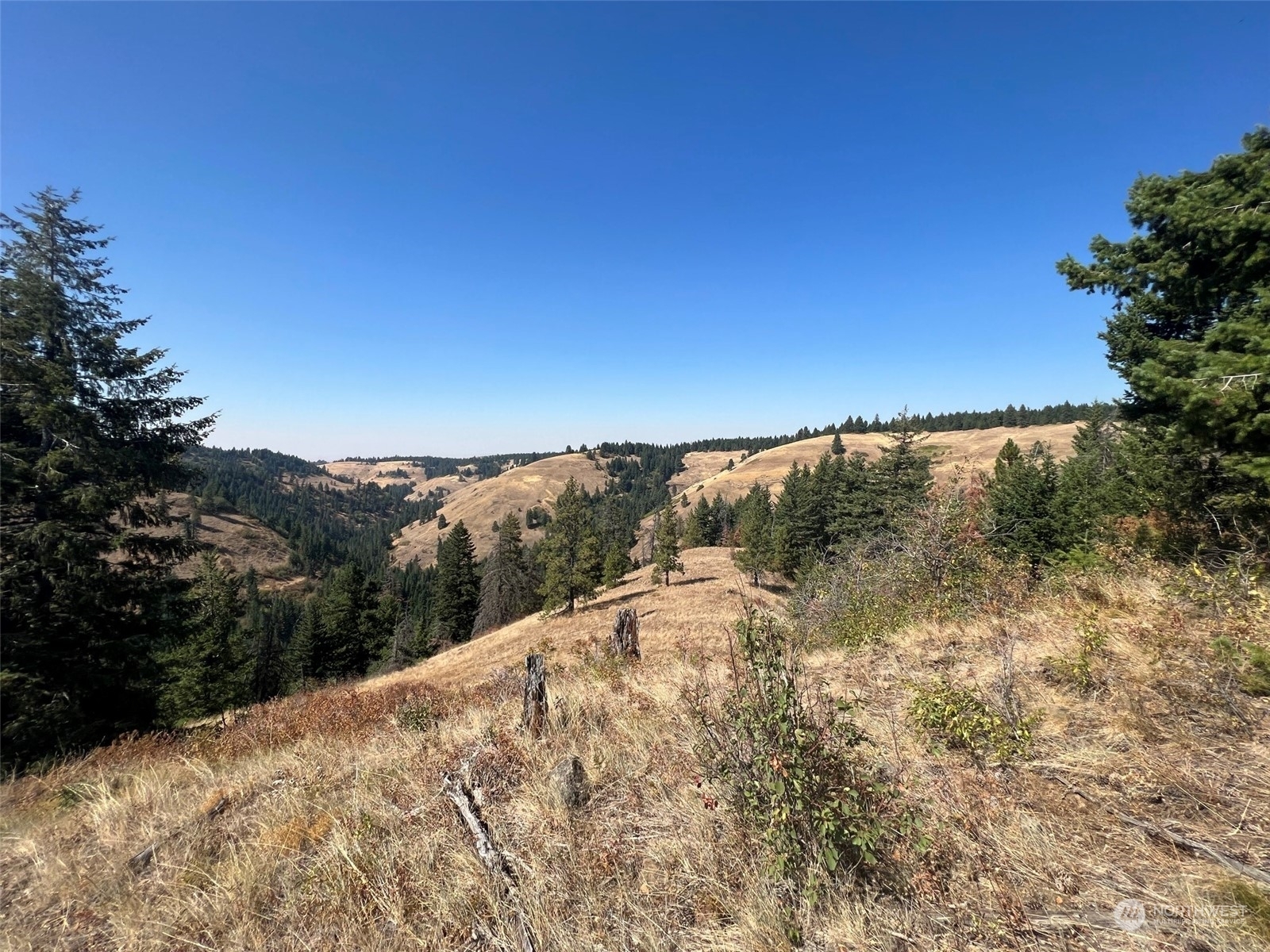 Property Photo:  0 South Fork Coppei Road  WA 99361 