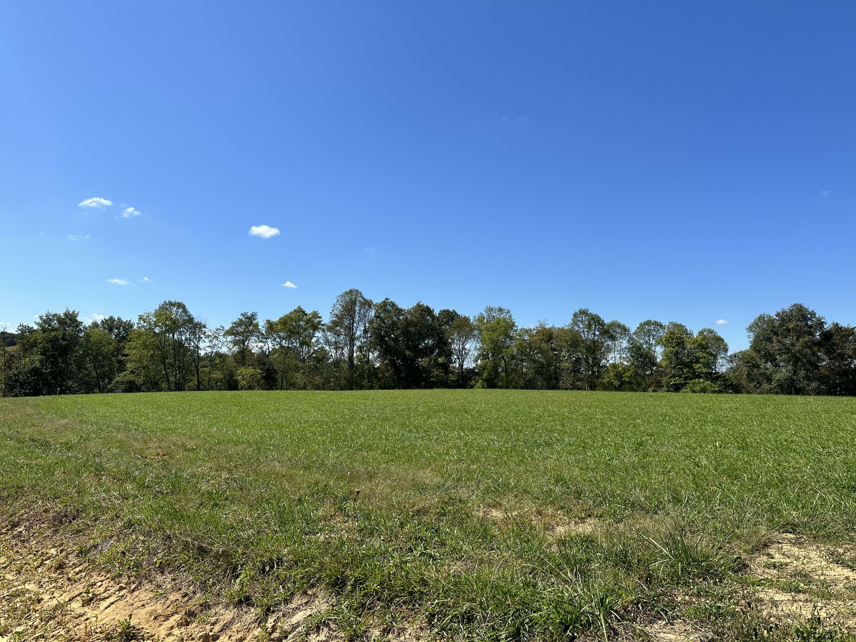 Property Photo:  Lot 13 Baldwin Road  KY 40447 