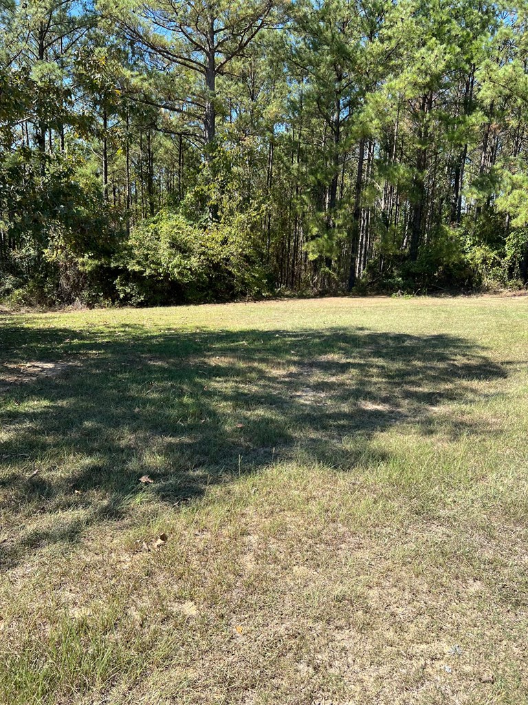 Property Photo: 117 Pine Hill Road GA 31805