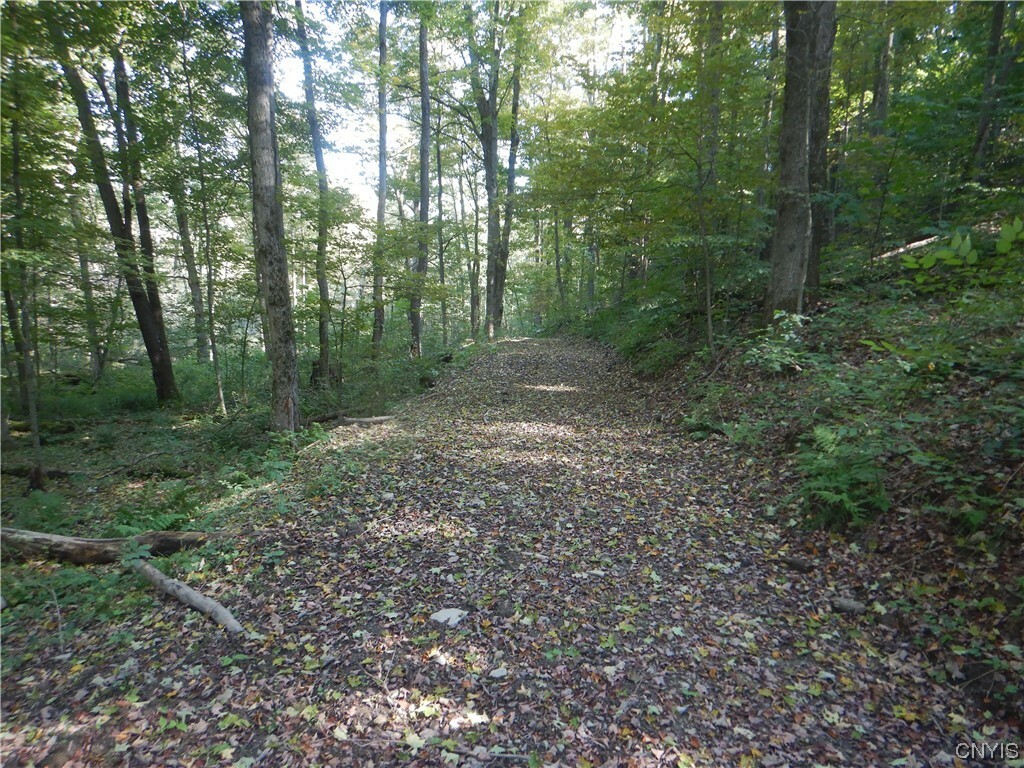 Property Photo:  0 Matson Road  NY 13835 