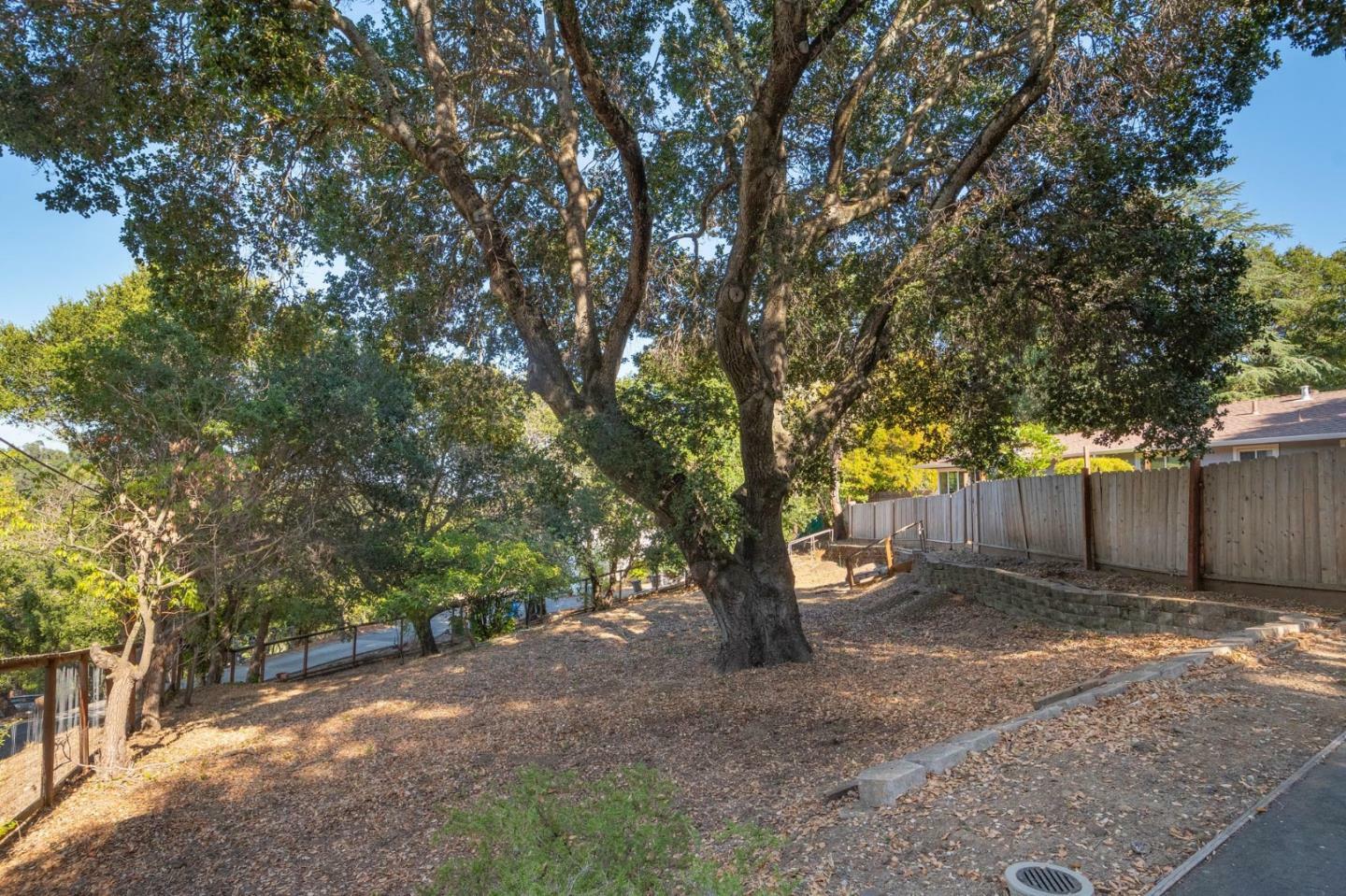 Property Photo:  156 Bardet Road  CA 94062 