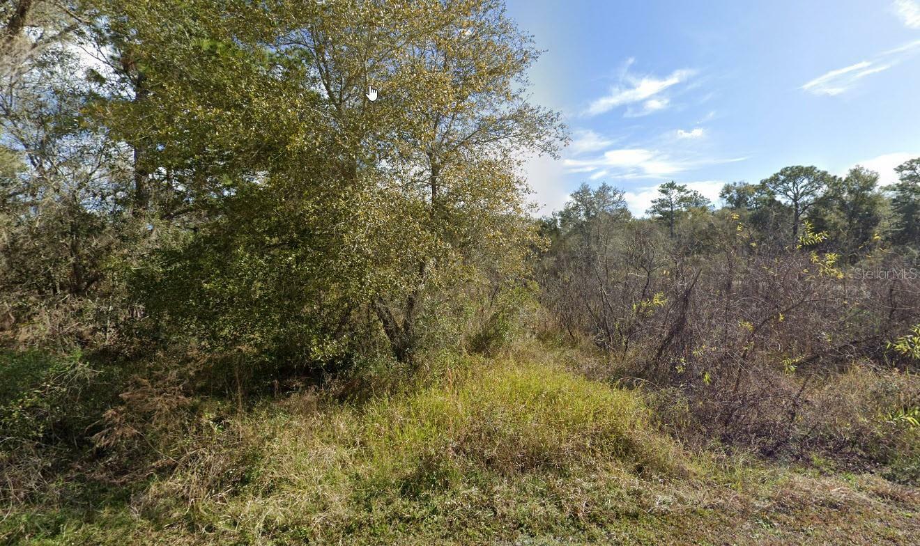 Property Photo:  7450 Castleberry Drive  FL 33597 