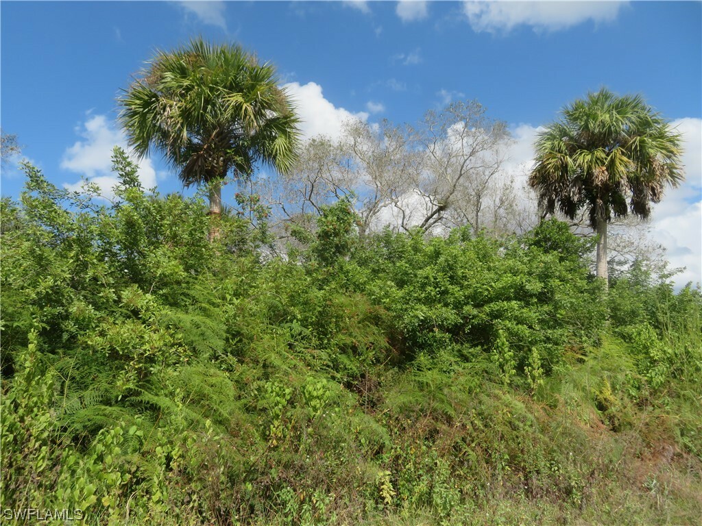 Property Photo:  0000 42nd Avenue SE  FL 34117 