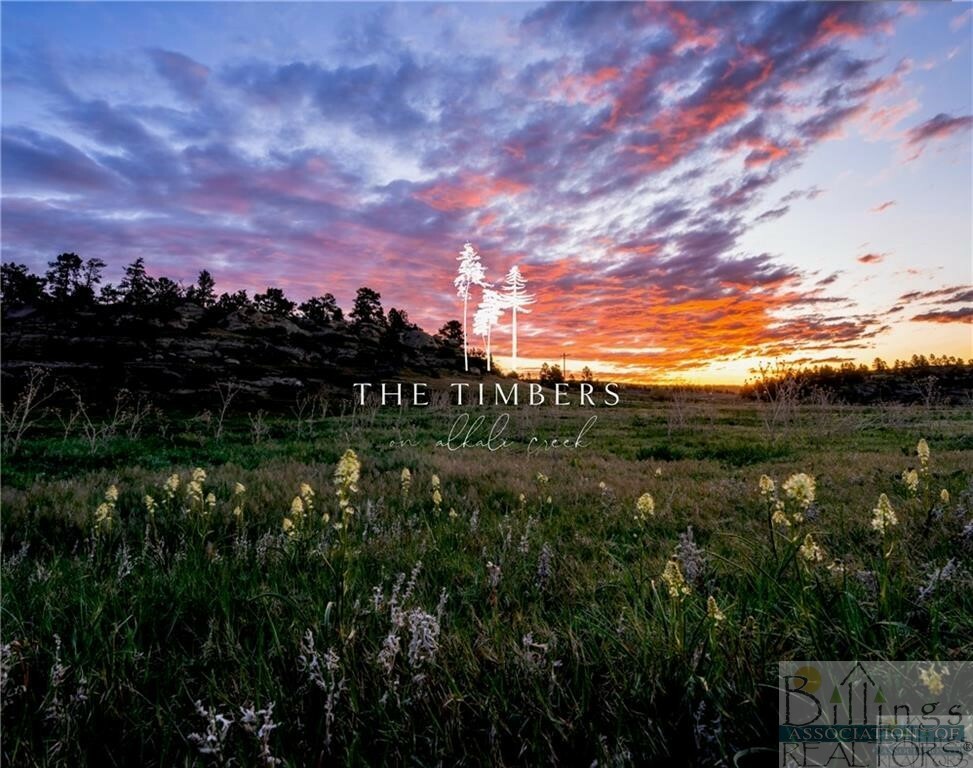 Property Photo:  Lot 51 Timbers Boulevard S  MT 59105 