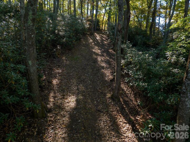 Property Photo:  0 Big Hungry Road  NC 28731 