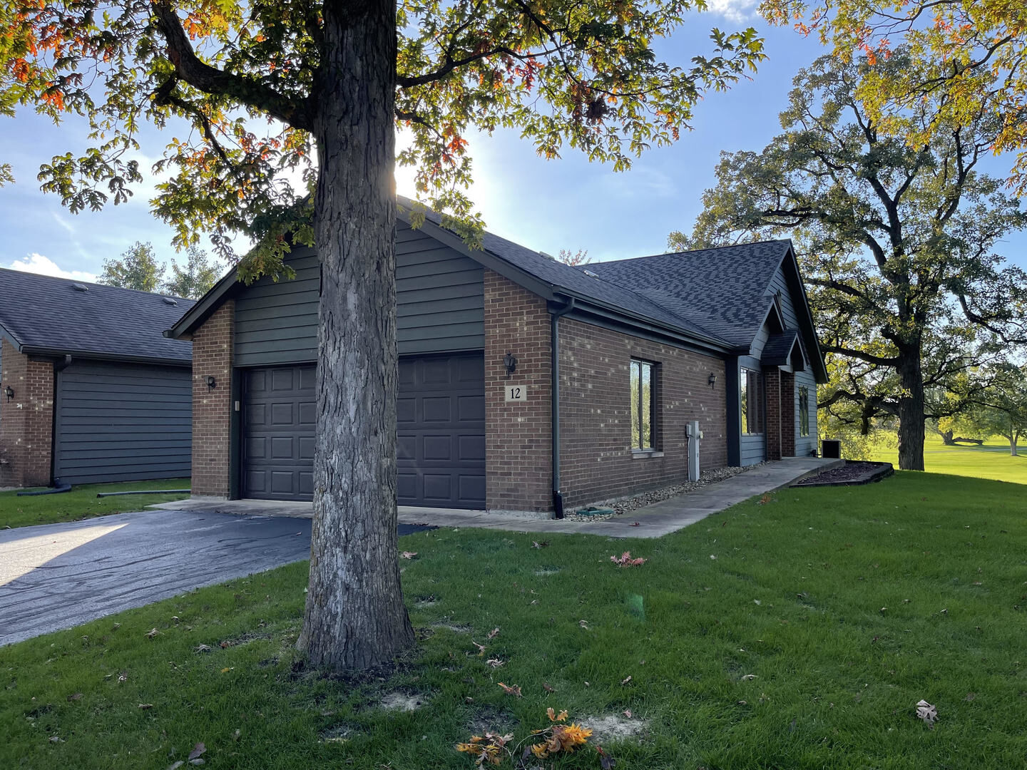 Property Photo: 12 Village Woods Drive 12 IL 60417