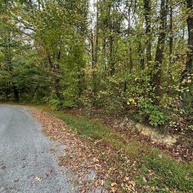 Property Photo:  2.88 Ac Logtown Road  TN 37321 