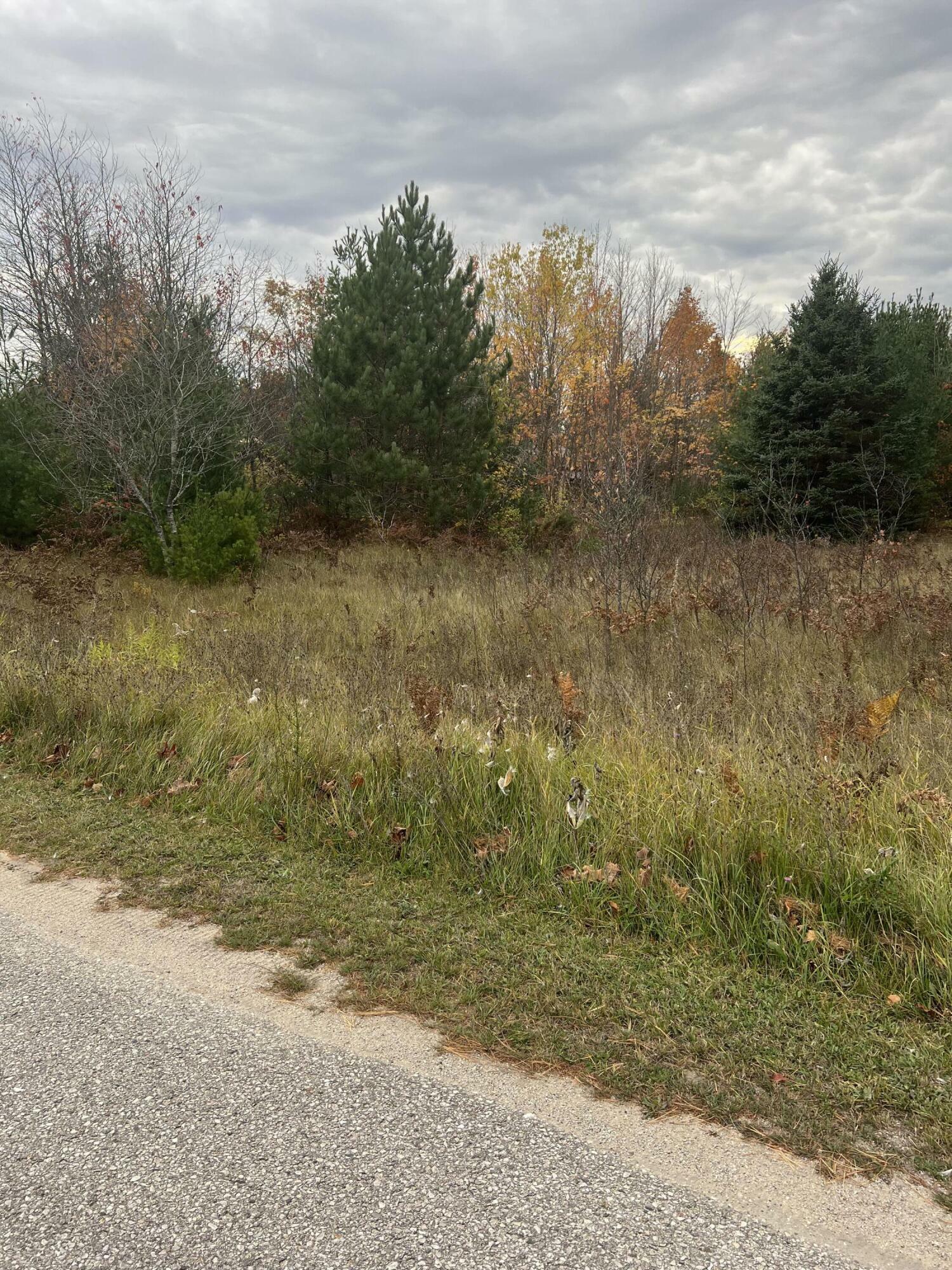 Property Photo:  Lot 17 Sherry Lynn Drive  MI 49868 