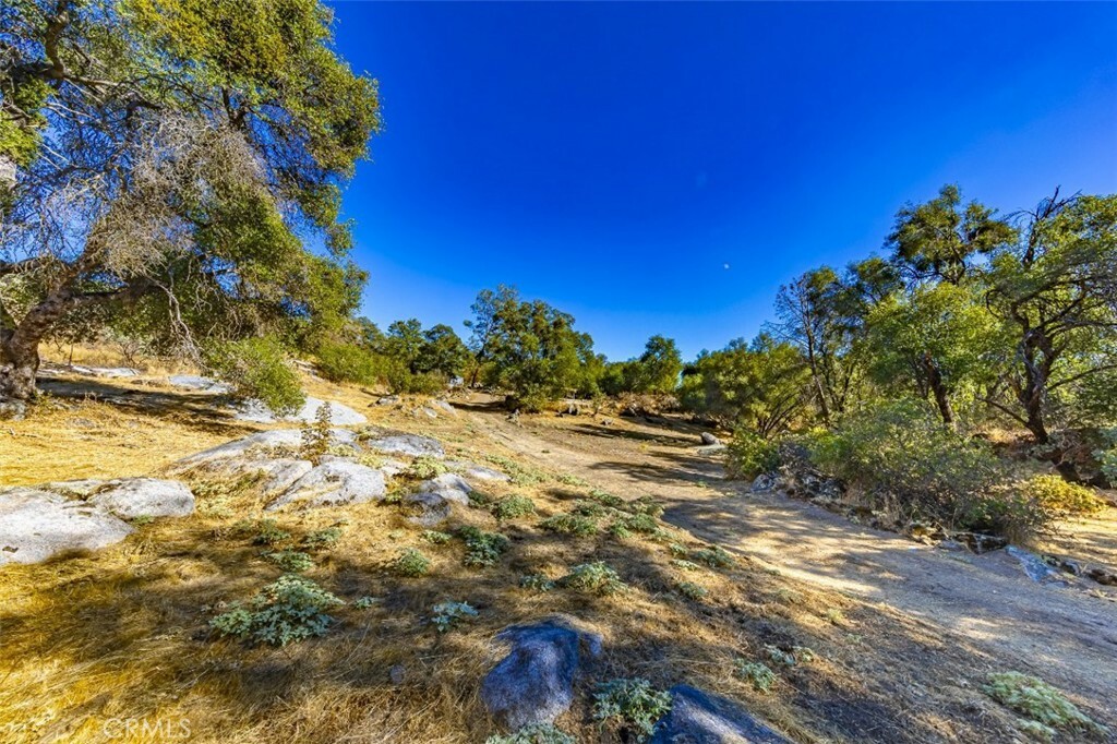 Property Photo:  4200 Silver Lane Road  CA 95338 