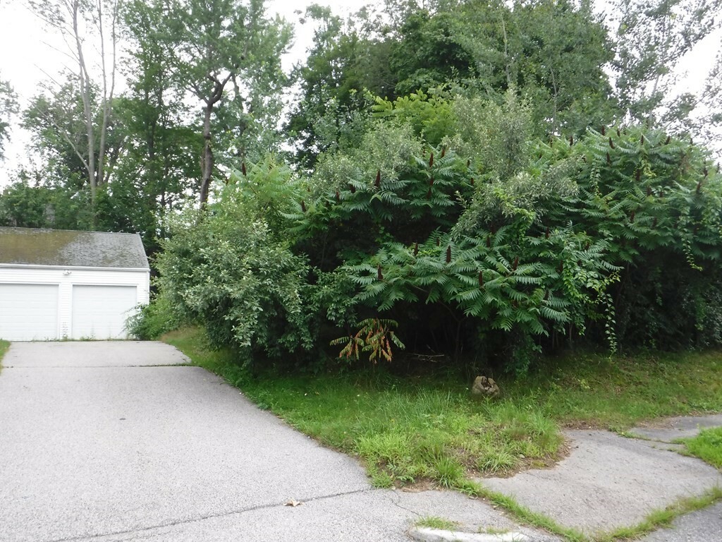 Property Photo: 29 Sherburne Ave MA 01606