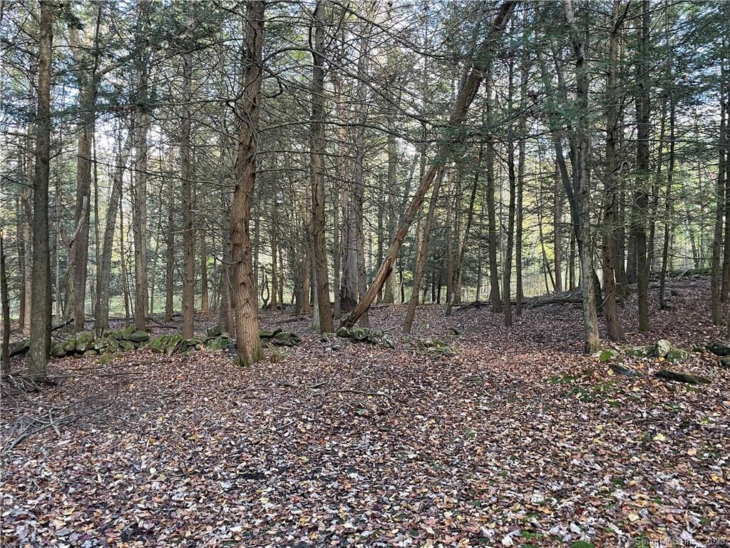 Property Photo: 0 Wellers Bridge Road CT 06783