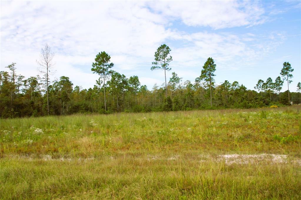 Property Photo:  20998 County Road 121  FL 32046 