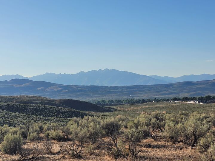 Property Photo: 5 Katharine'S Way NV 89801