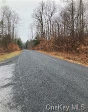 Property Photo:  Big Woods Road   12472 