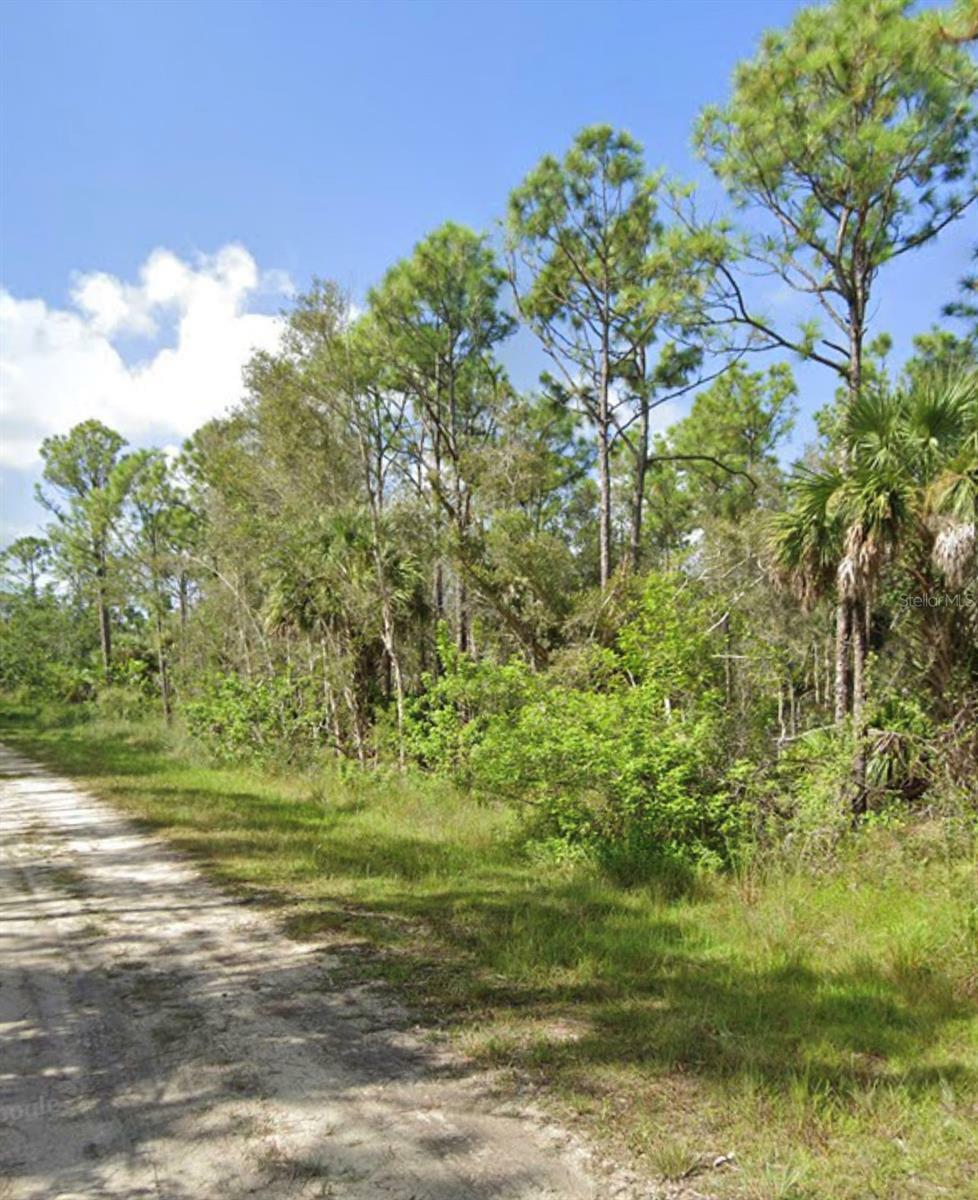 Property Photo:  12463 Caravan Drive  FL 33955 