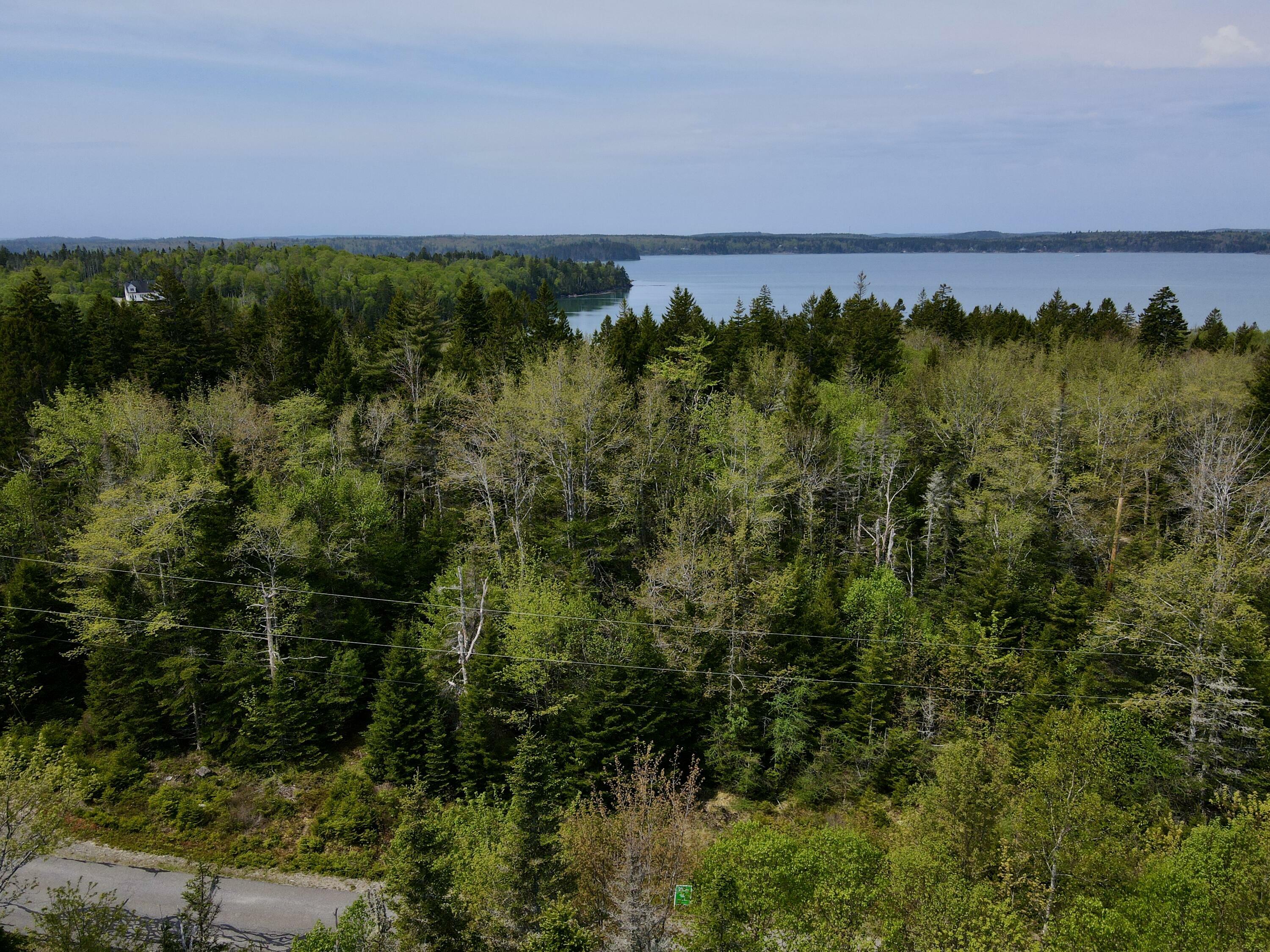 Property Photo:  Lot 15 Collins Cove Road  ME 04655 