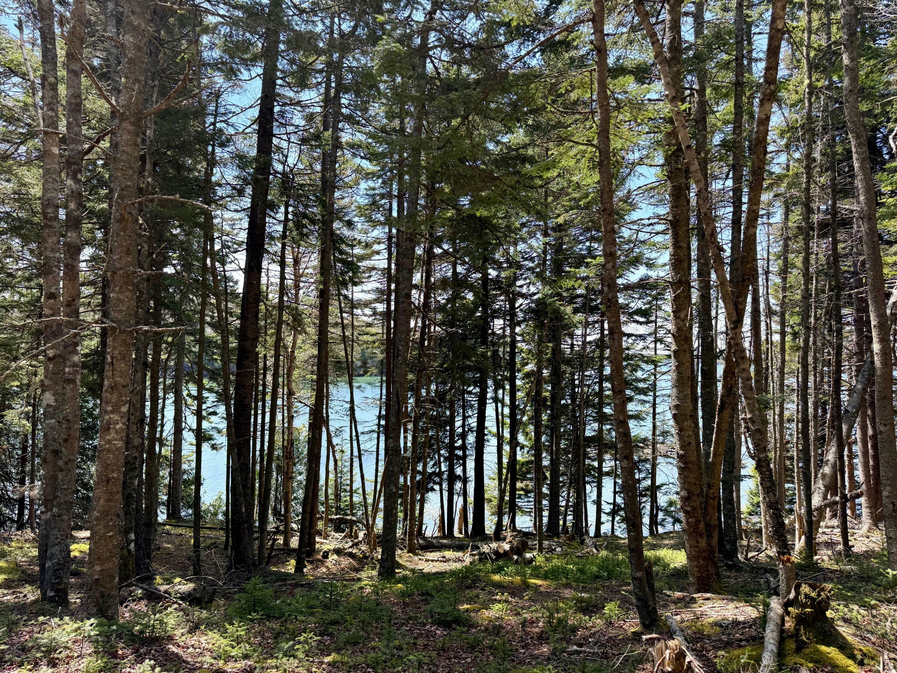 Property Photo: Lot 15 Collins Cove Road ME 04655