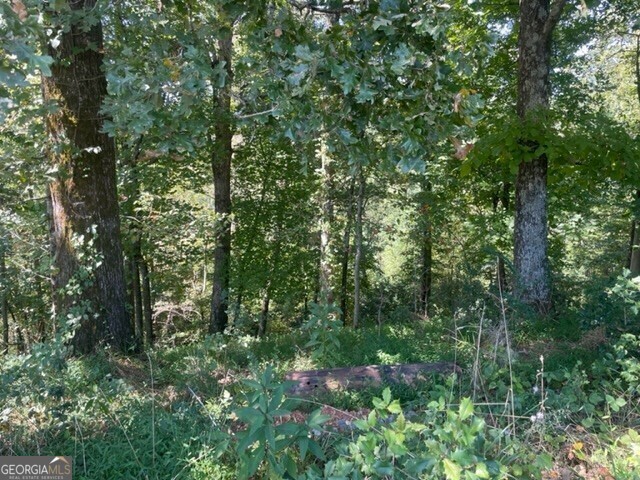 Property Photo: Lt 1 Clear Creek Preserve Way GA 30536