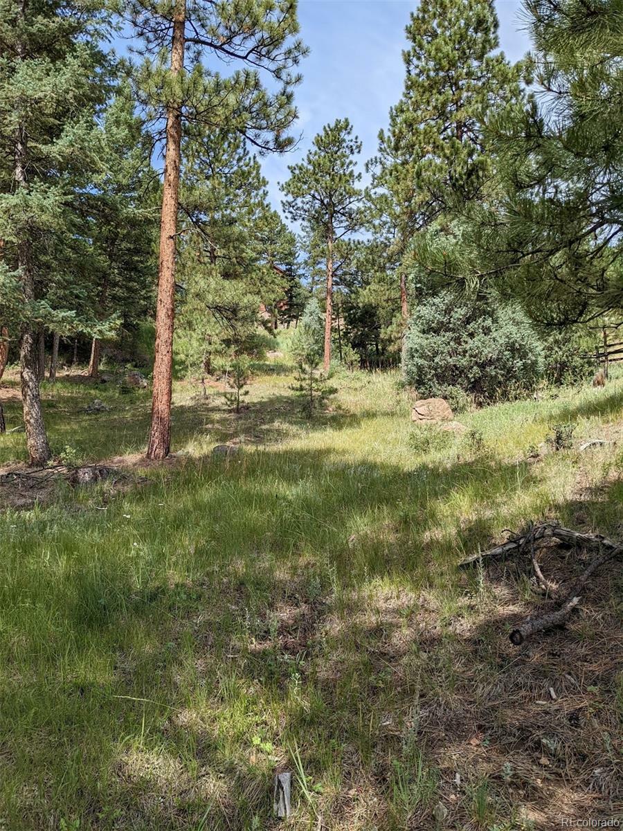 Property Photo:  4094 Alpine Drive  CO 80439 