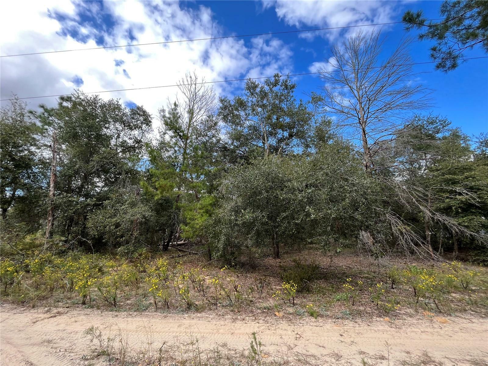 Property Photo:  102 Morning Glory Lane  FL 32148 