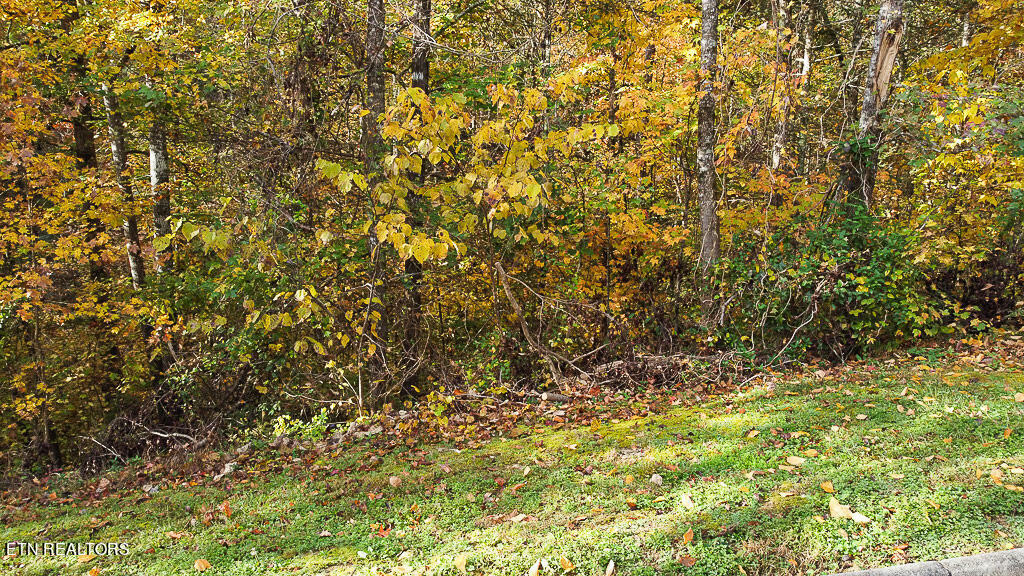 Lot 85 Smoky Cove Rd  Sevierville TN 37876 photo