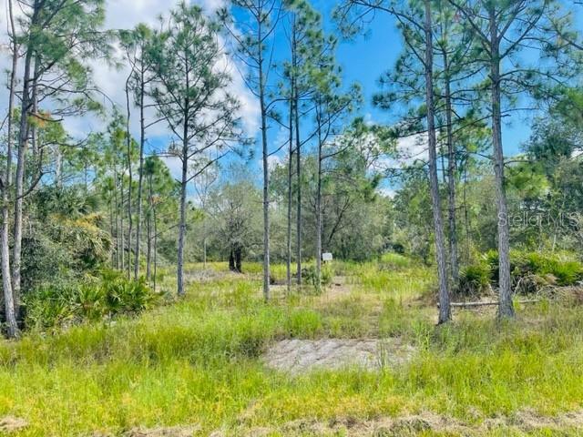 Property Photo:  13484 Michilin Avenue  FL 33955 